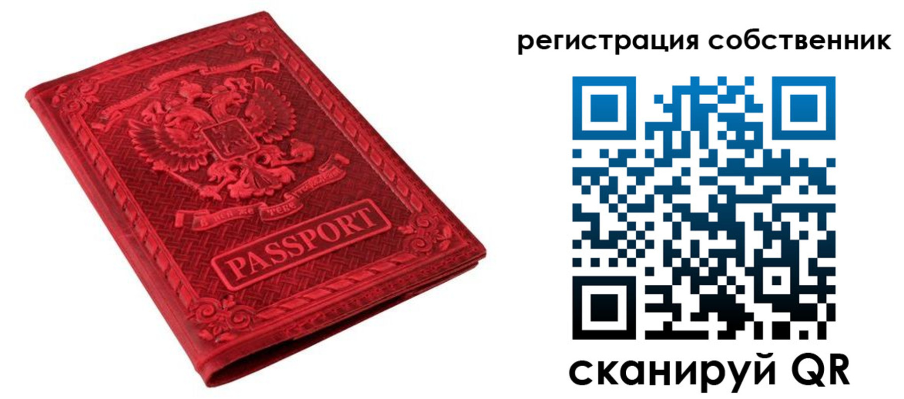 регистрация для школы в Покрове