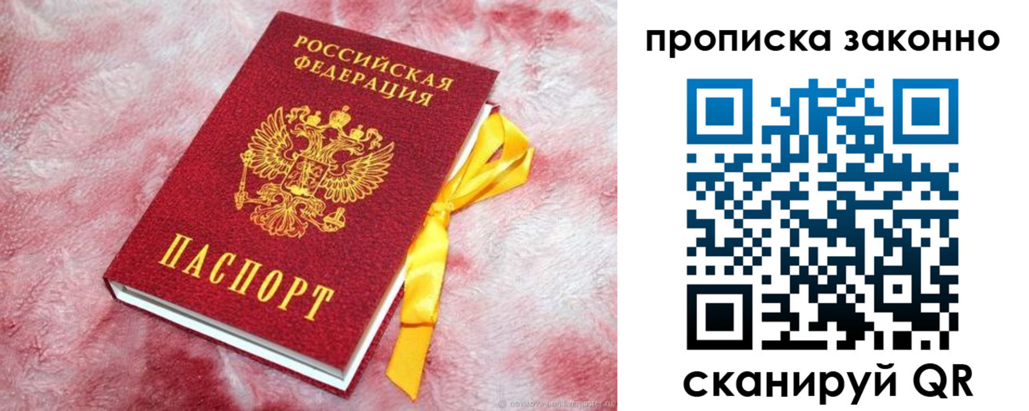прописка 2025 в Покрове